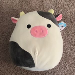 Connor the Squishmallow!!